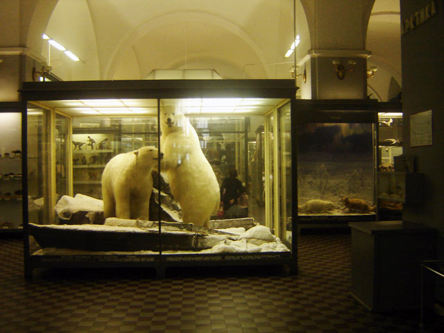 зоологический музей в санкт-петербурге
