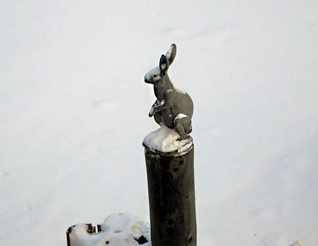 Памятник зайцу.Санкт-Петербург